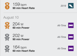 Screen Shot 2019-08-12 at 18.41.01